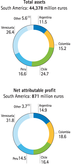 South America. Distribution of total assets and net attributable profit, by country