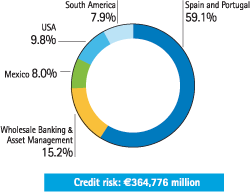Exposure. Gross credit risk. Distribution by business area