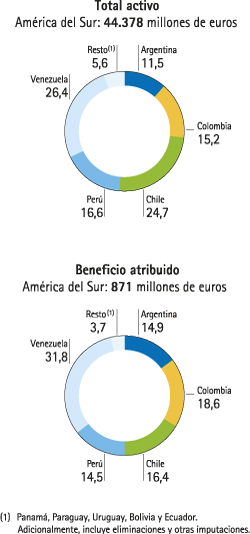 América del Sur. Distribución del total activo y resultado atribuido por países