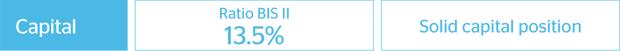 Capital