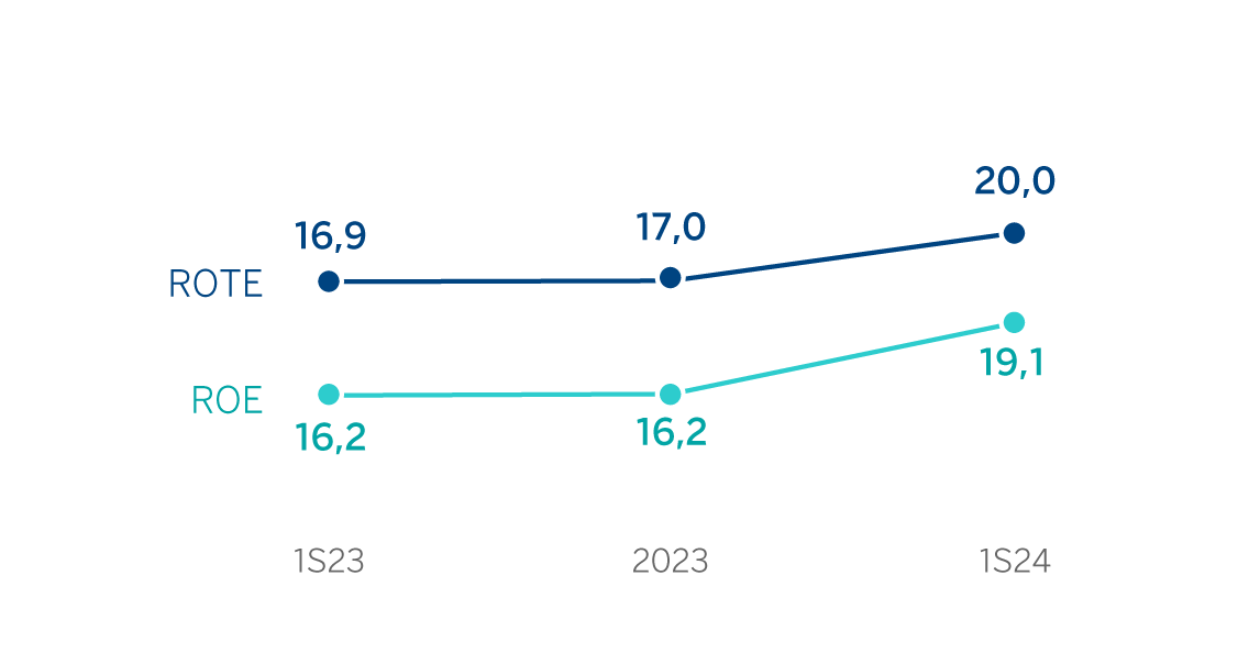 Gráfico. ROE y ROTE